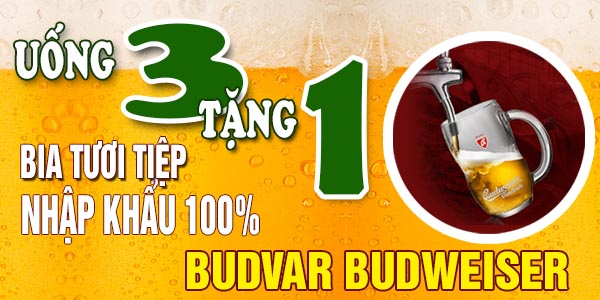 [Khuyến mại] Uống 3 tặng 1 bia tươi Budvar Budweiser